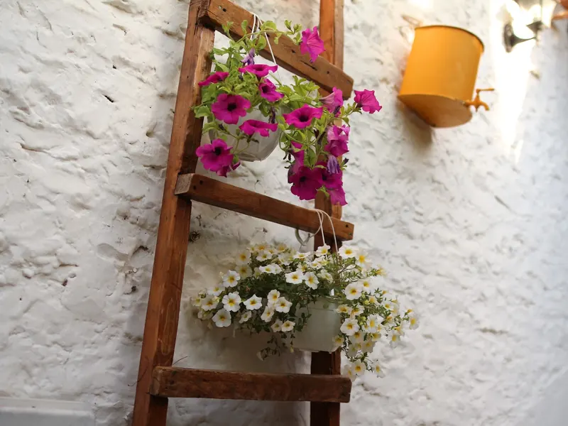 Flower pots on a whitewashed stone wall